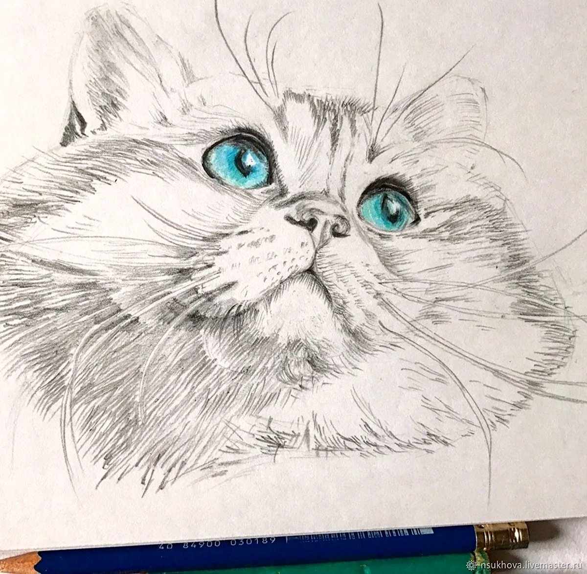 Рисунки котов карандашом для срисовки