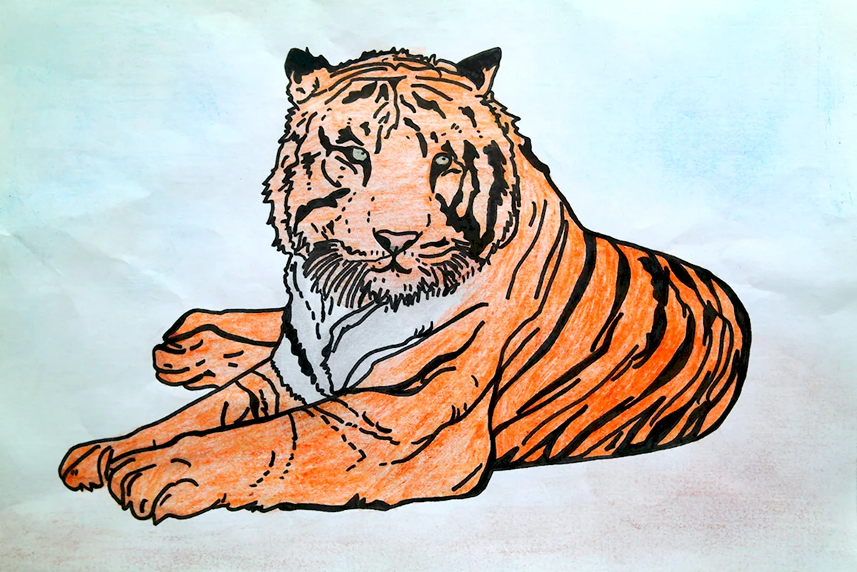 Рисунки тигров