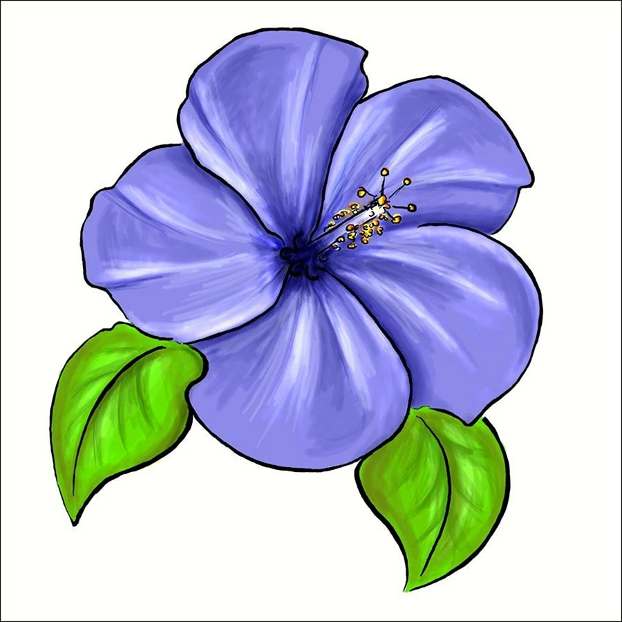 Разноцветный цветок нарисованный