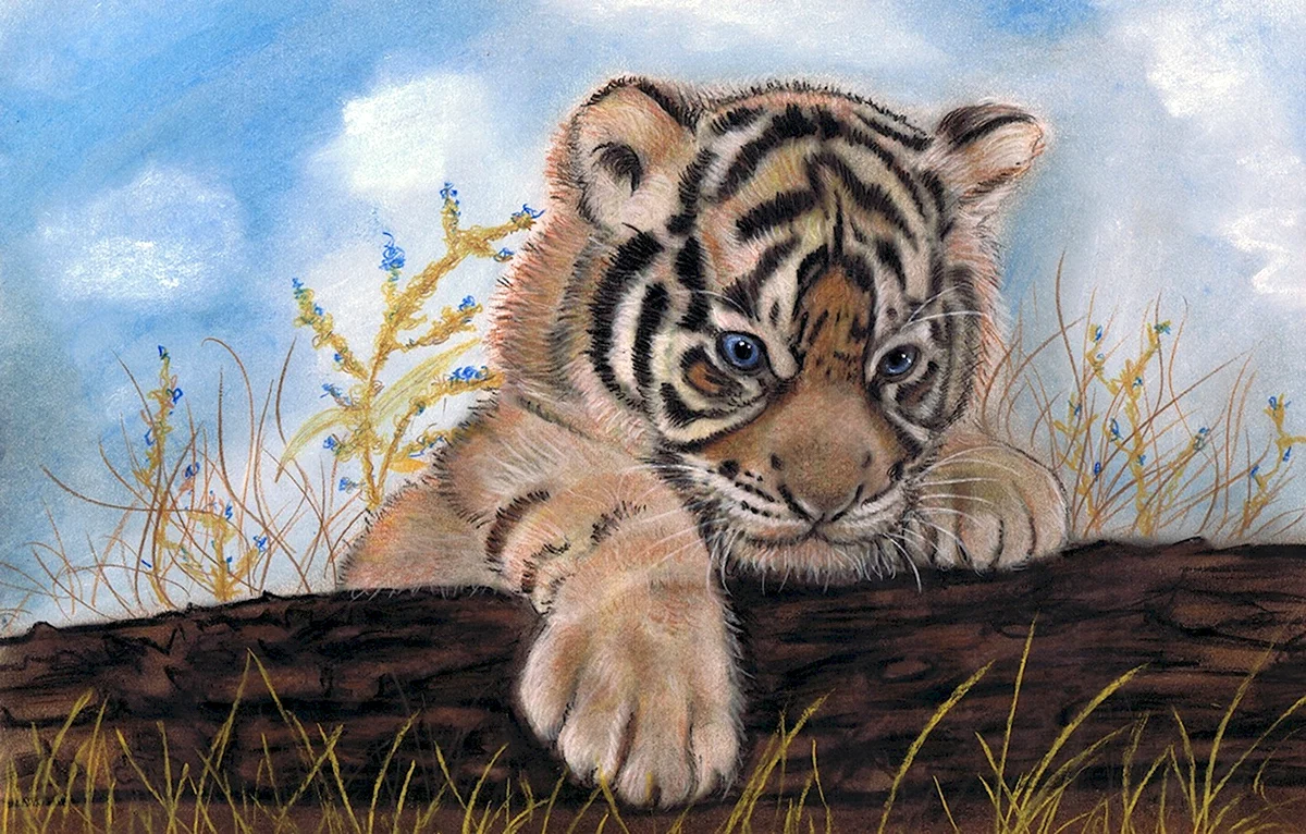 Рисунки животных