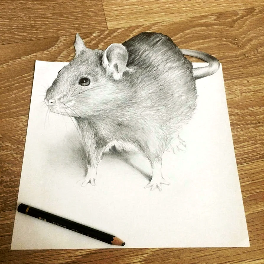 Рисунок крысы 3д