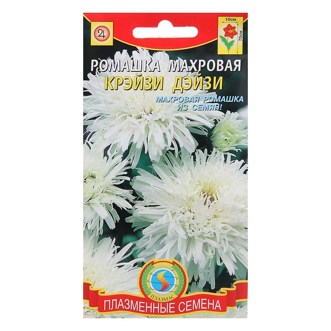 Ромашка махровая белая