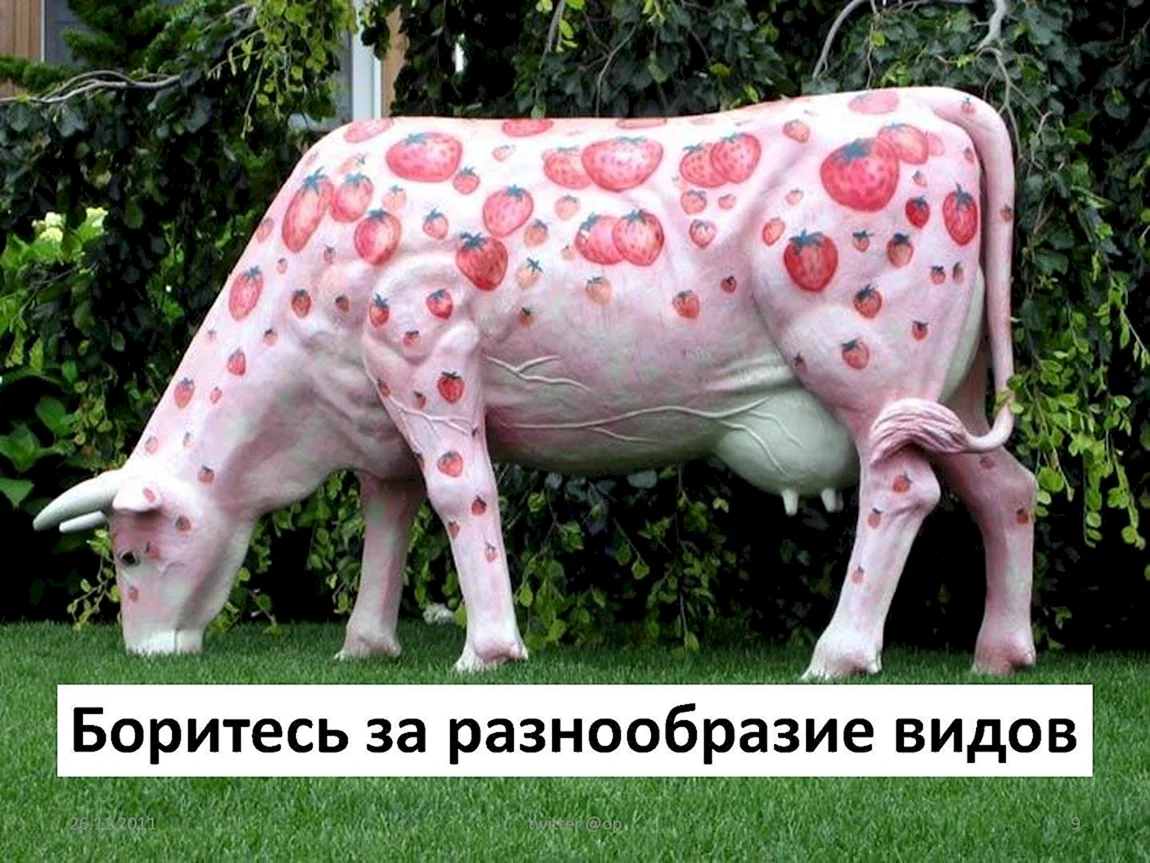 Розовая корова