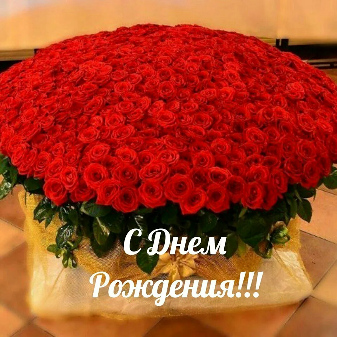 Самые красивые большие букеты роз
