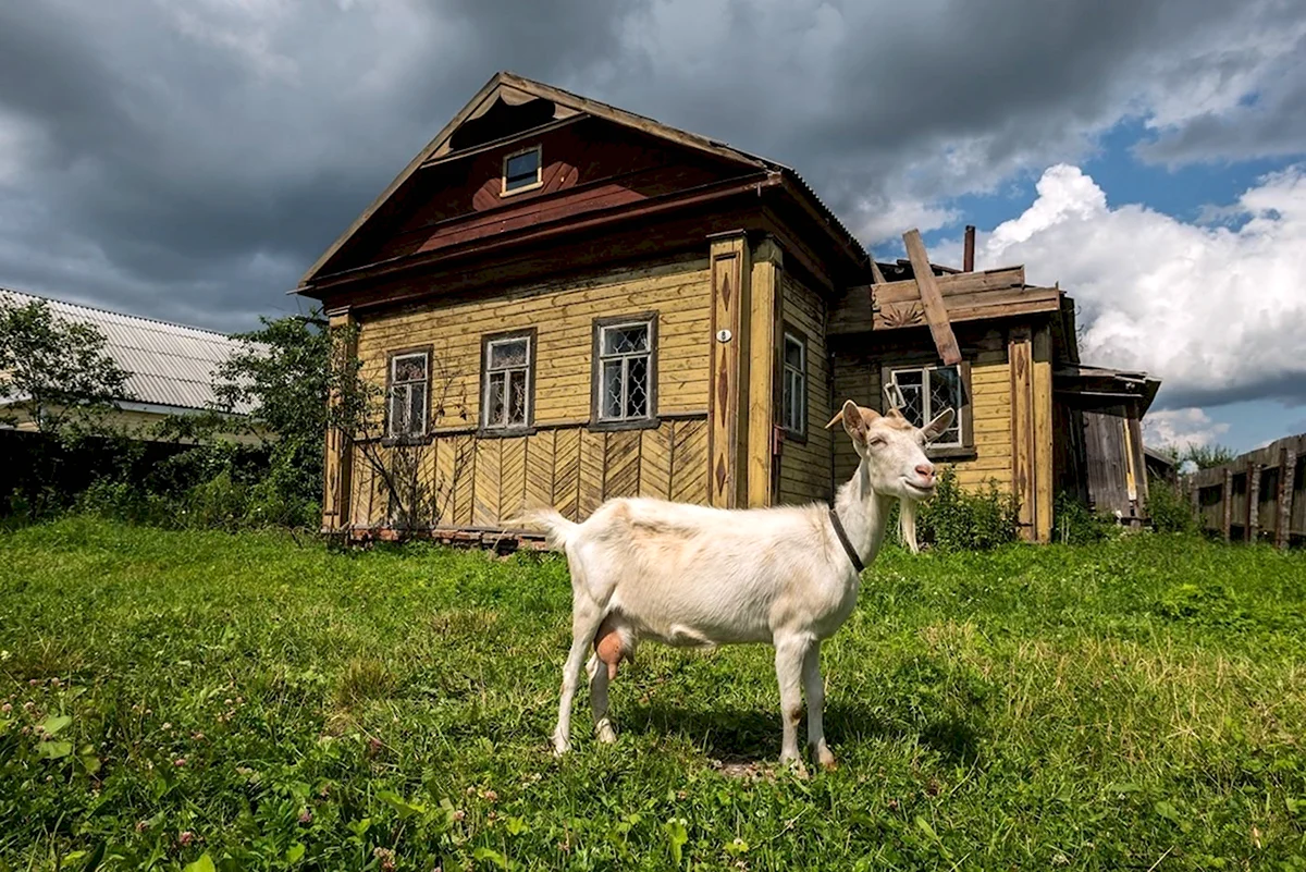 Деревня щиброво (27 фото)