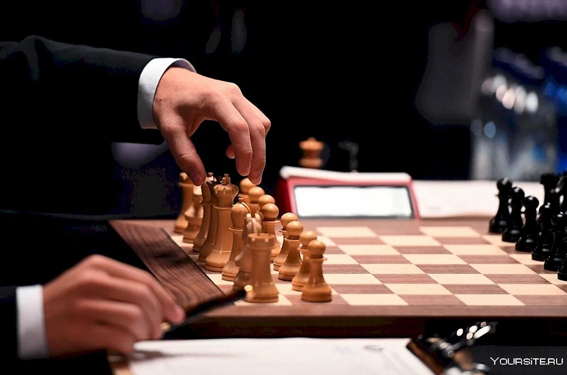 Шахматы партия