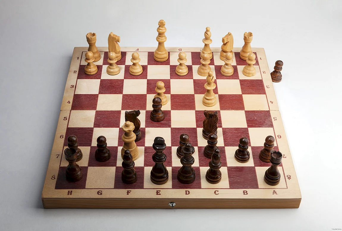 Красивые шахматные партии