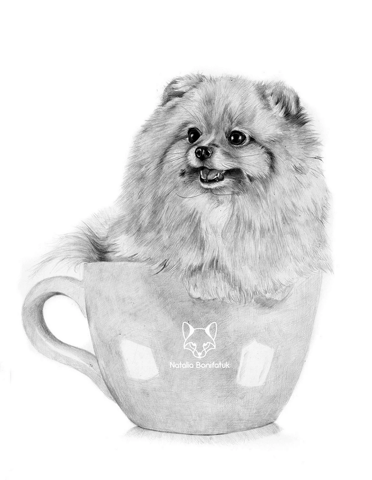 Шпиц собака