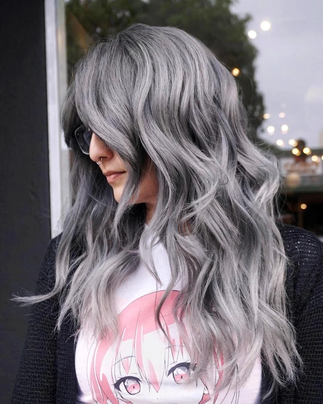Сильвер грей Silver Gray