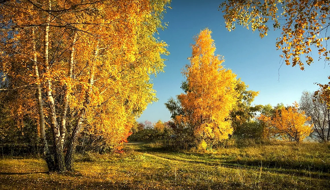 Солнечная осень