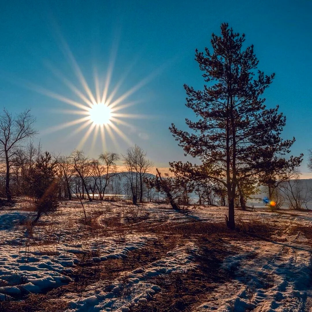 Зима солнце. Солнечная зима. Солнечный зимний день. Морозное солнечное утро.