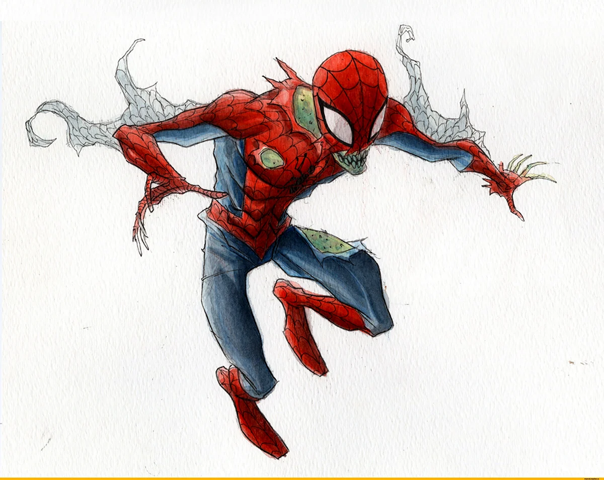 Spider man 2211