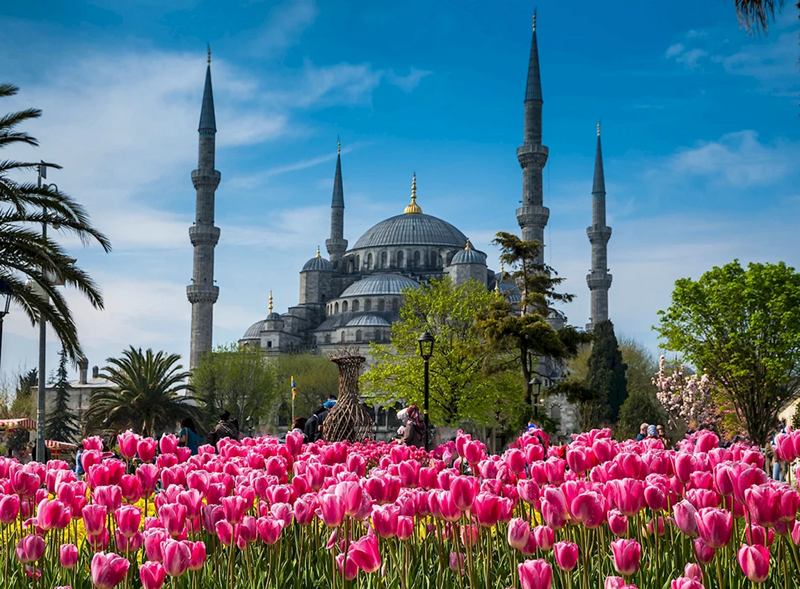 Самые красивые мечети стамбула