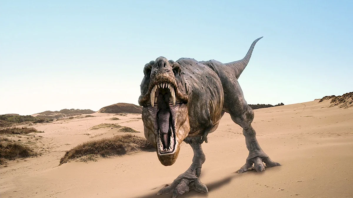 Динозавры в пустыне