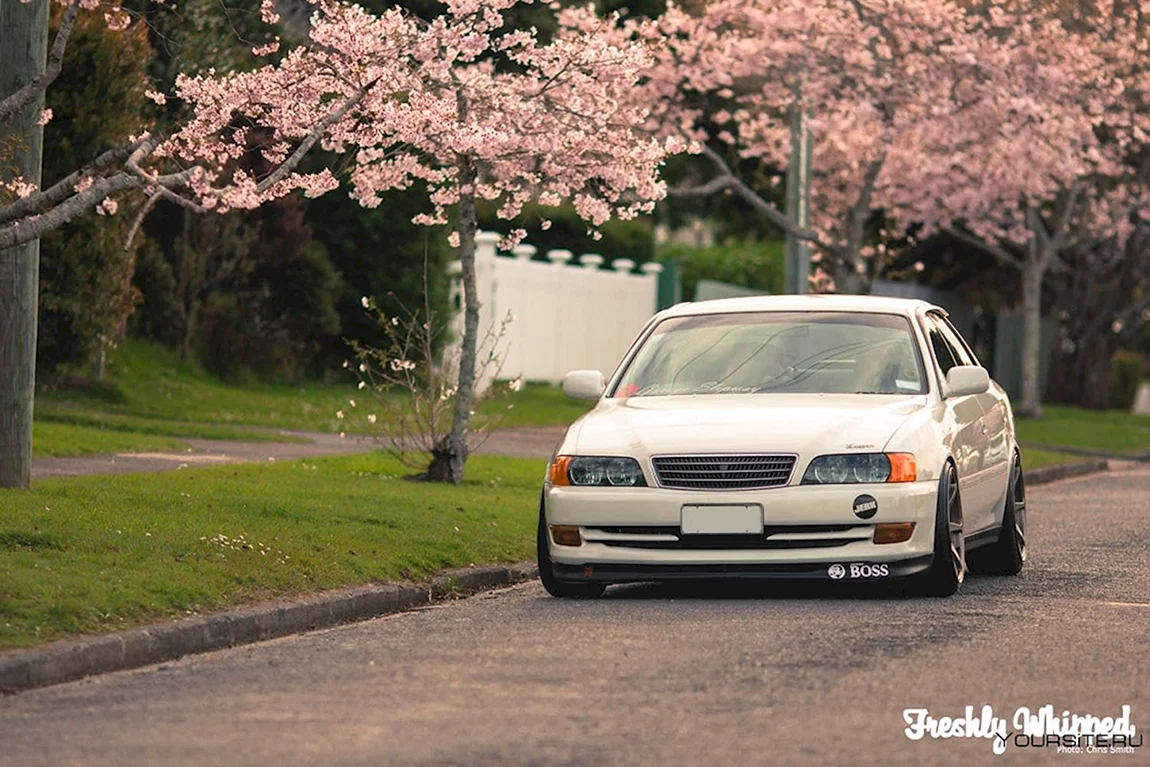 Volvo из японии. Toyota Mark 2 Сакура. Тойота Чайзер 100 Сакура. Японские JDM Toyota Chaser 100. Toyota Chaser Sakura.