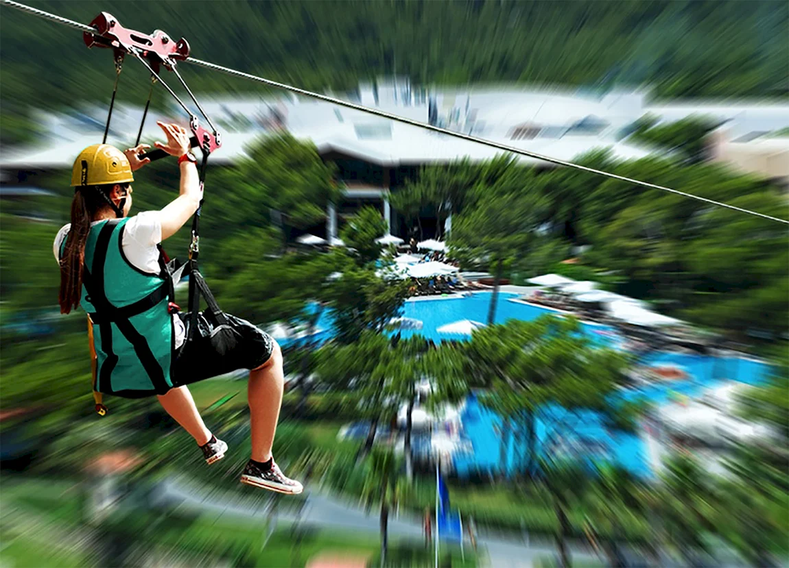 Троллей Zipline