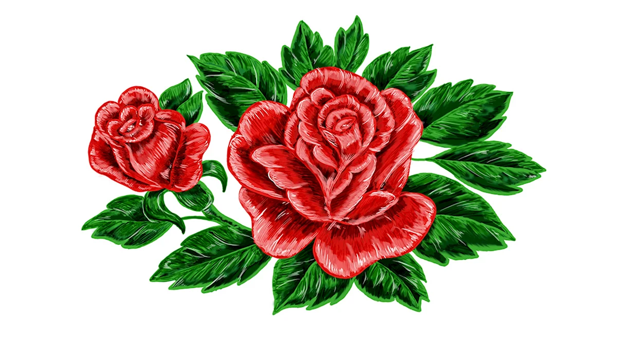 Цветы рисунок