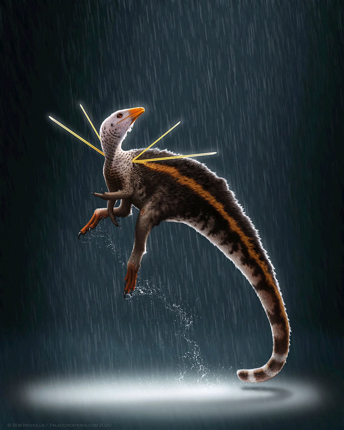 Ubirajara jubatus
