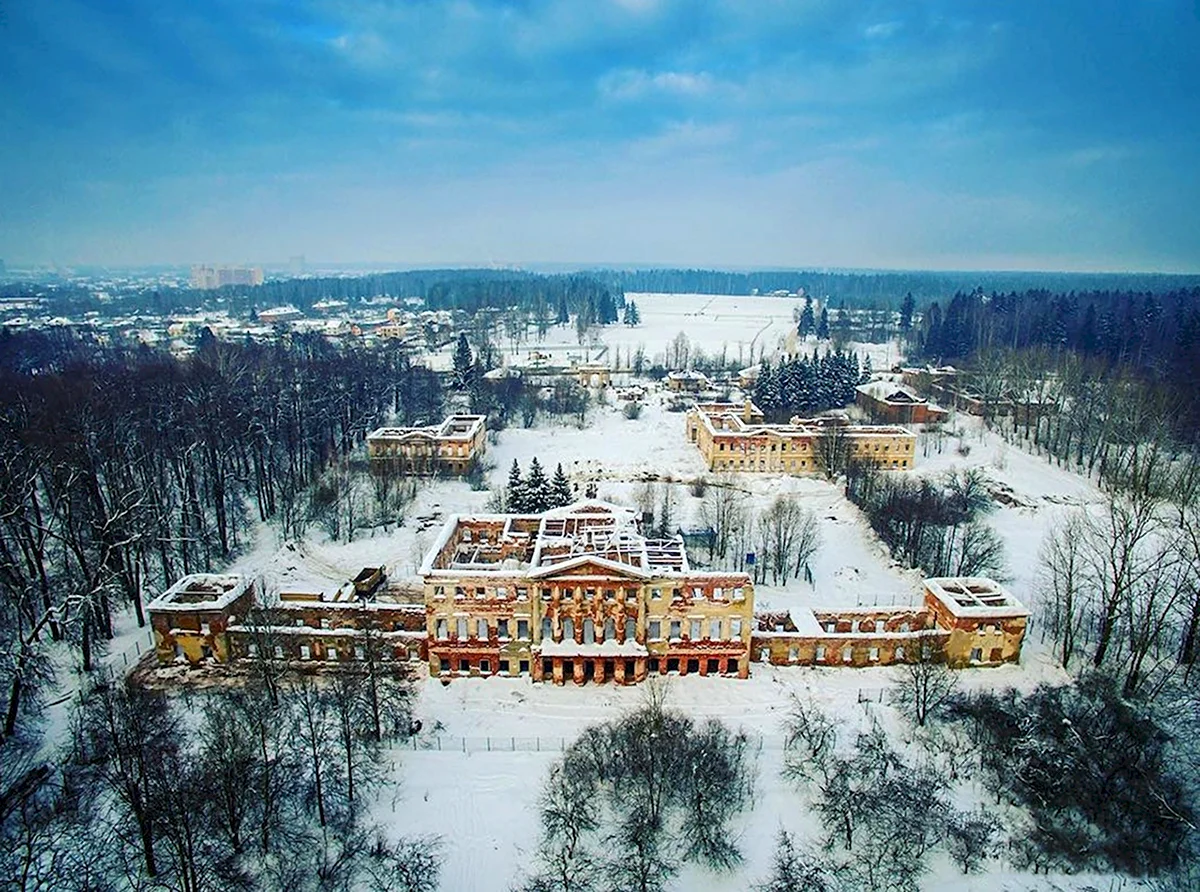 Усадьба Гребнево зима