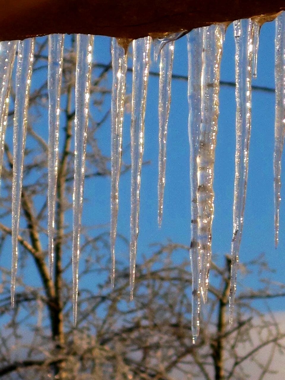 Весенняя капель.