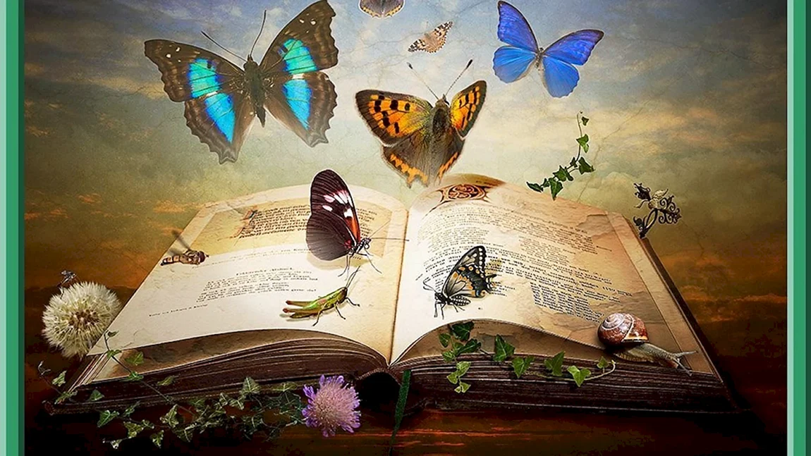 Волшебная книга