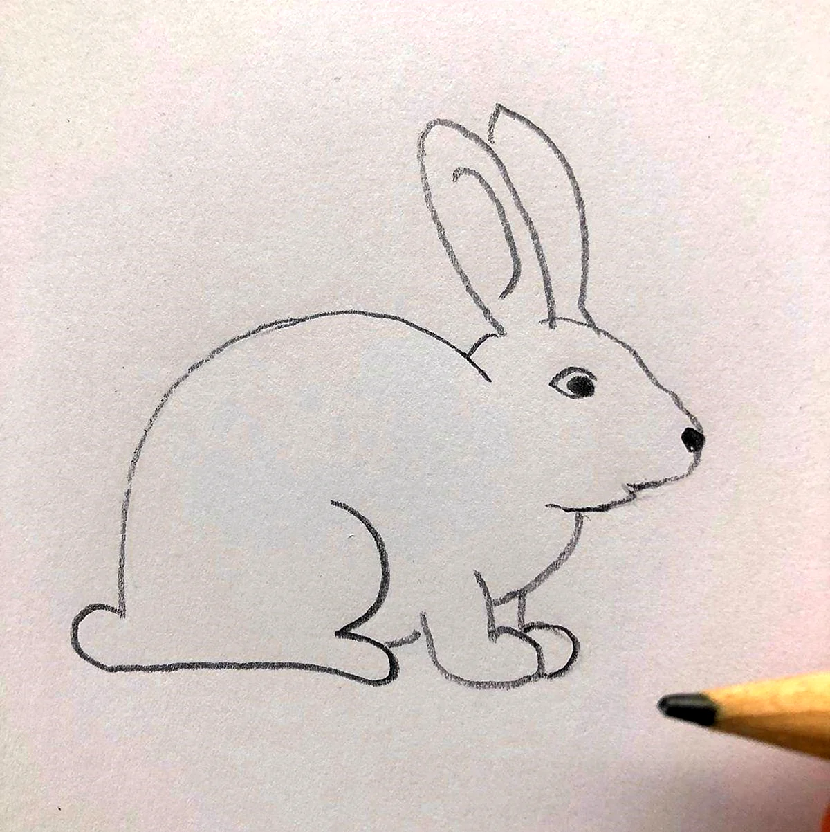 Заяц рисунок простой