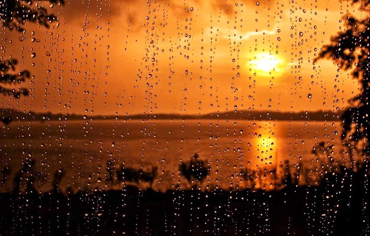 Дождь и солнце