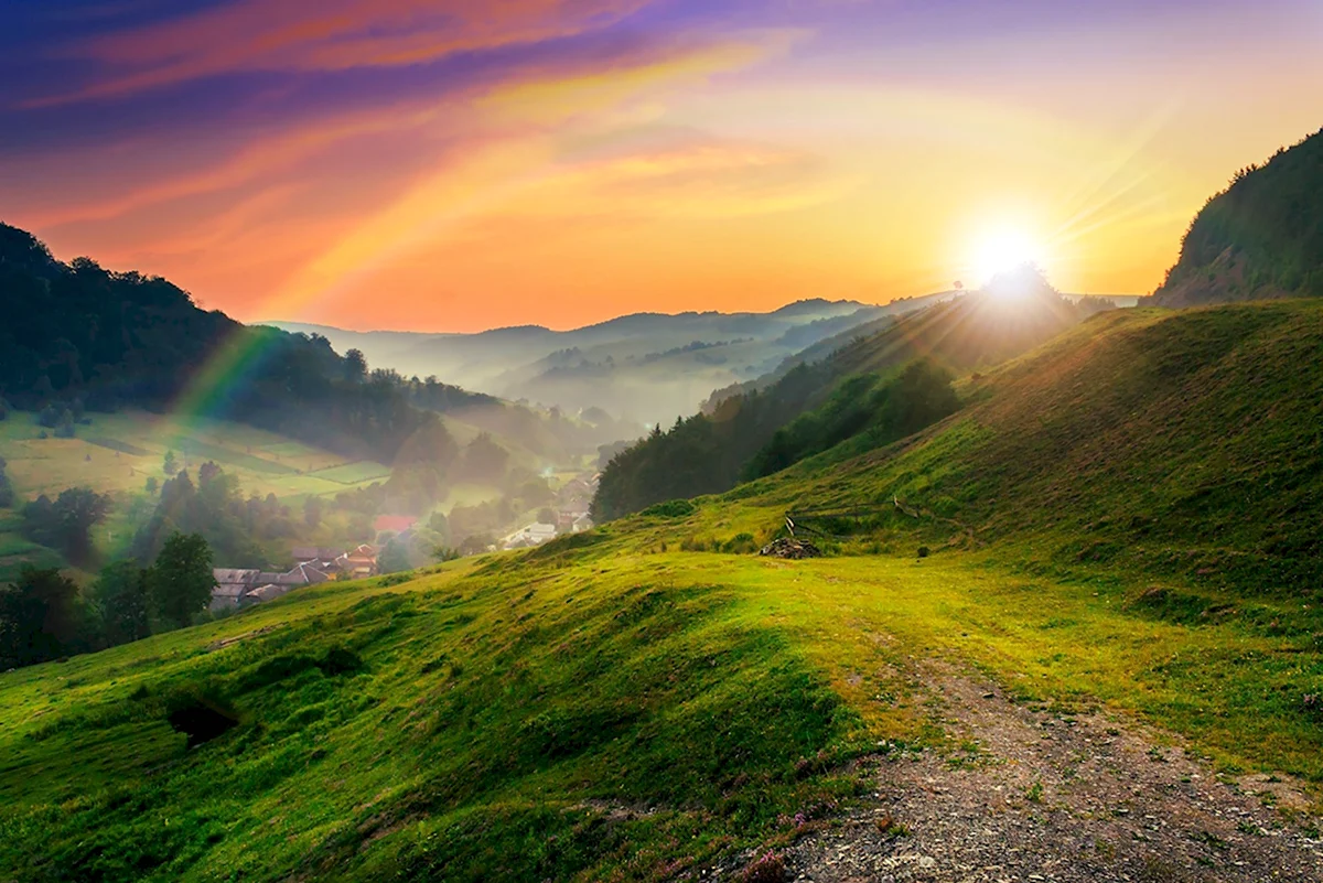 Зеленые холмы горный Алтай