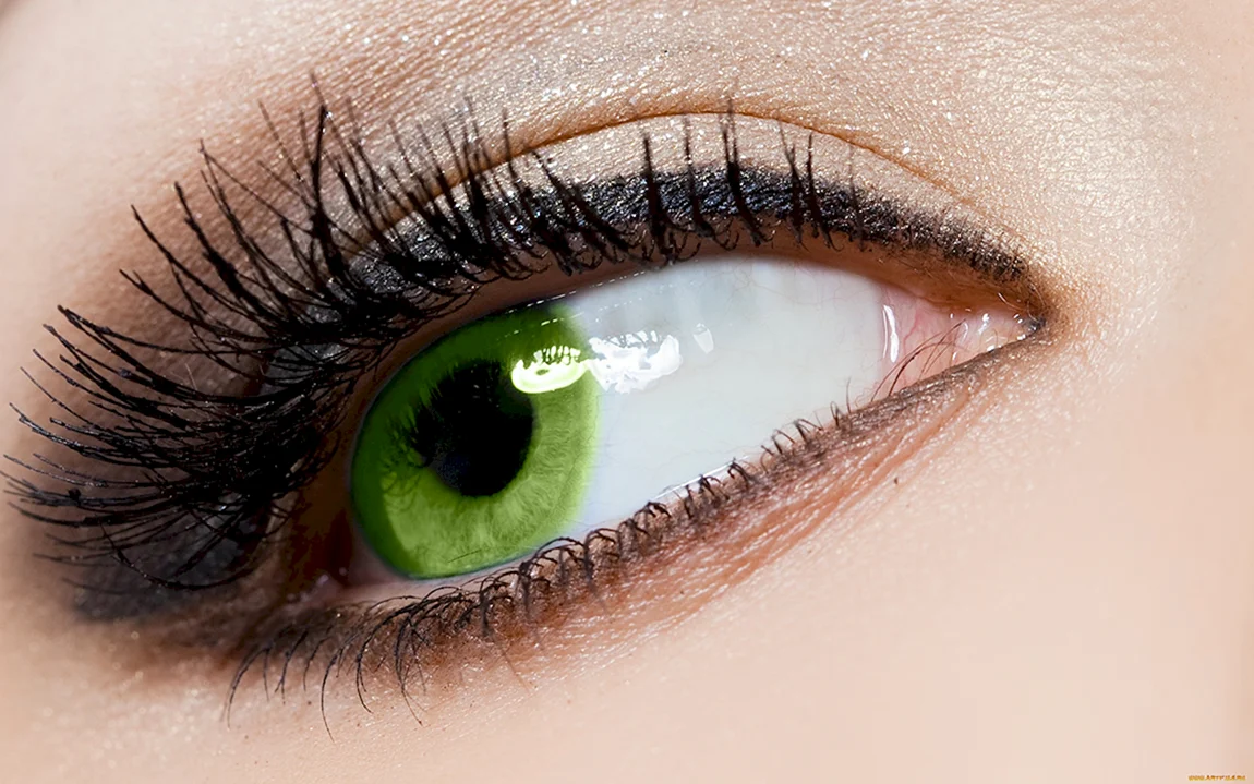 Глаза ярко зеленые