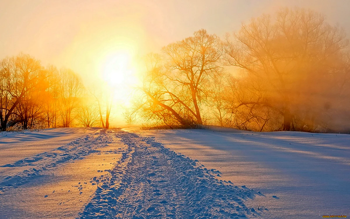 Зима солнце. Рассвет зимой. Снег и солнце. Солнечный зимний день.