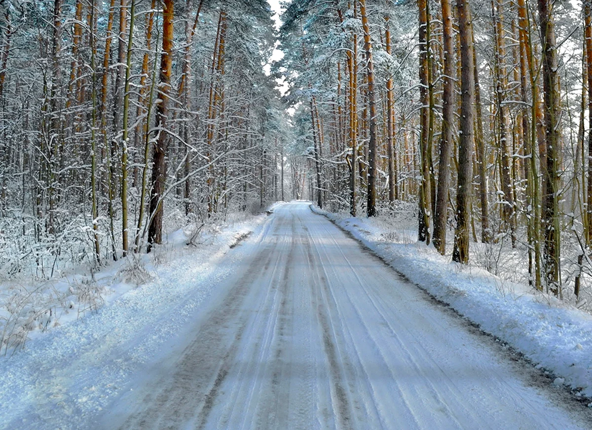 Зимняя дорога (38 фото)