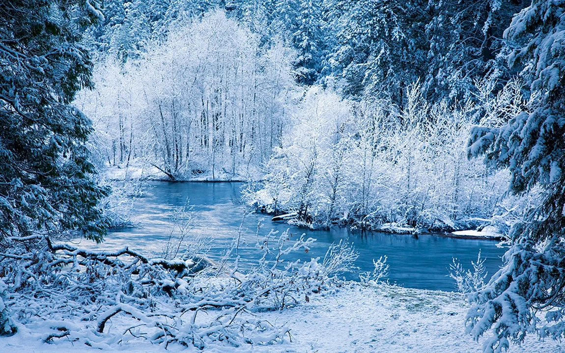 Зимняя природа