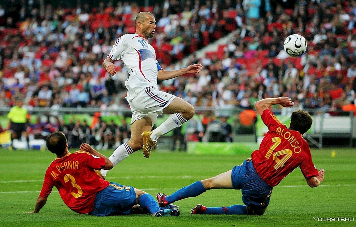 Зинедин Зидан 2006