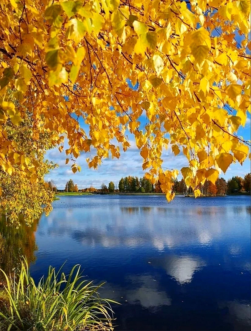 Золотая осень